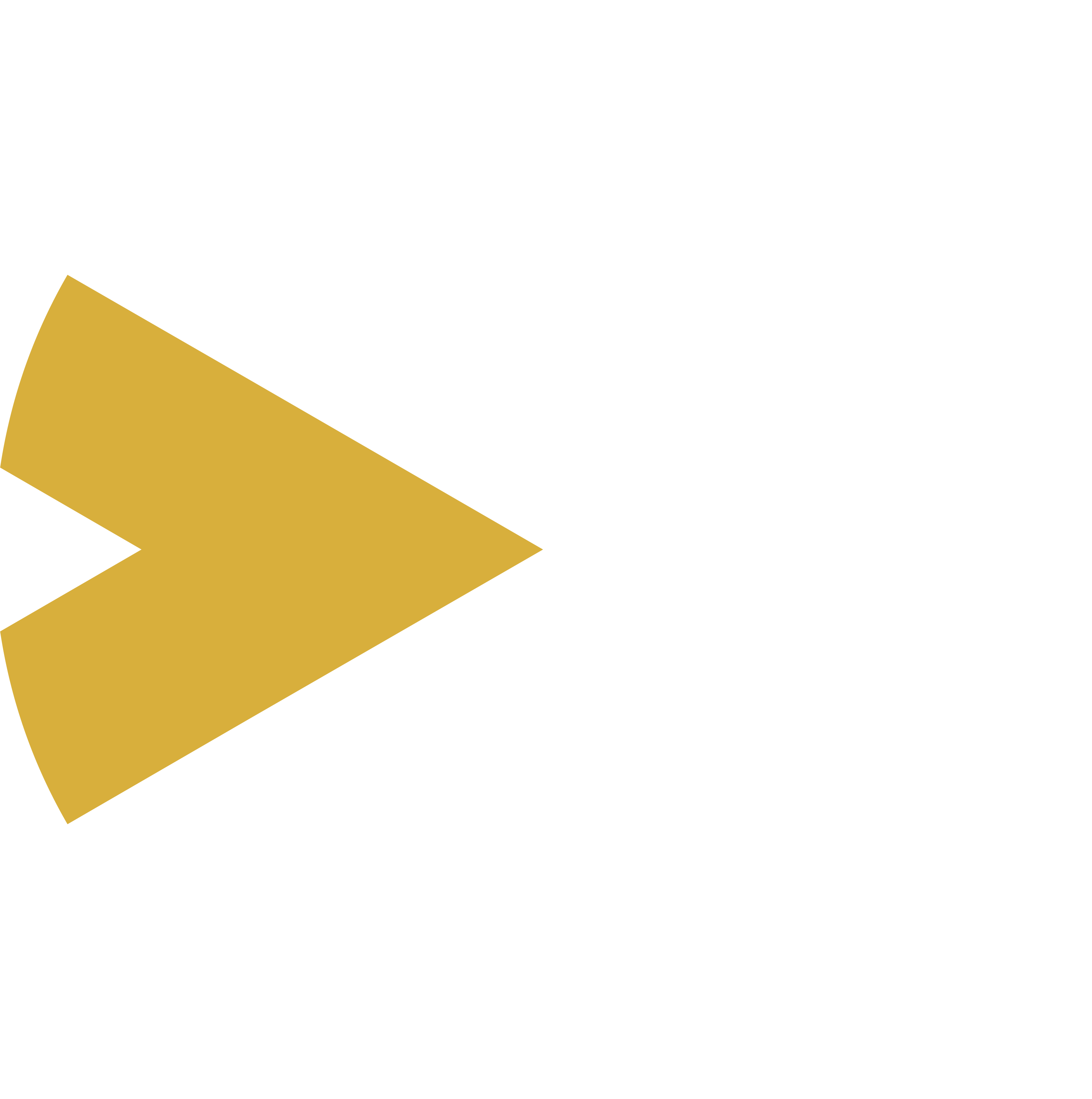 bullet